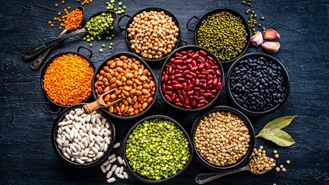 Plusieurs bols contenant différentes sortes de légumineuses, dont des pois chiches, des lentilles, des fèves